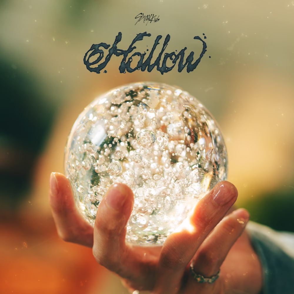 Liquidación Hollow - Imagen 4