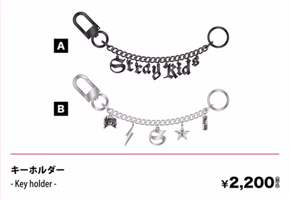 Envío Key holder - DominATE JP