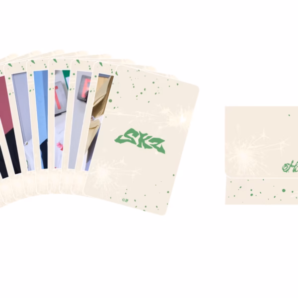 Stray Kids [HOLLOW Official Goods] Photo card set (9 piezas)