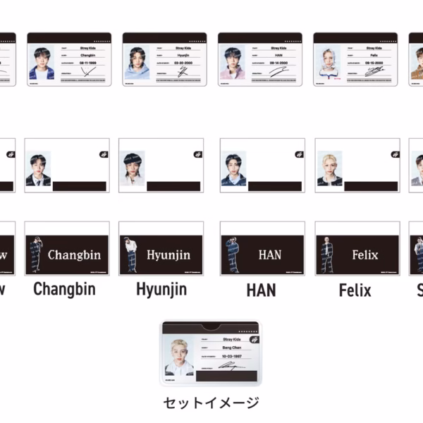 Stray Kids [RUN IT MERCH - JAPAN] PROFILE CARD SET